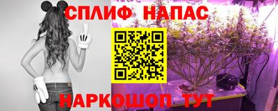jwh Малоярославец