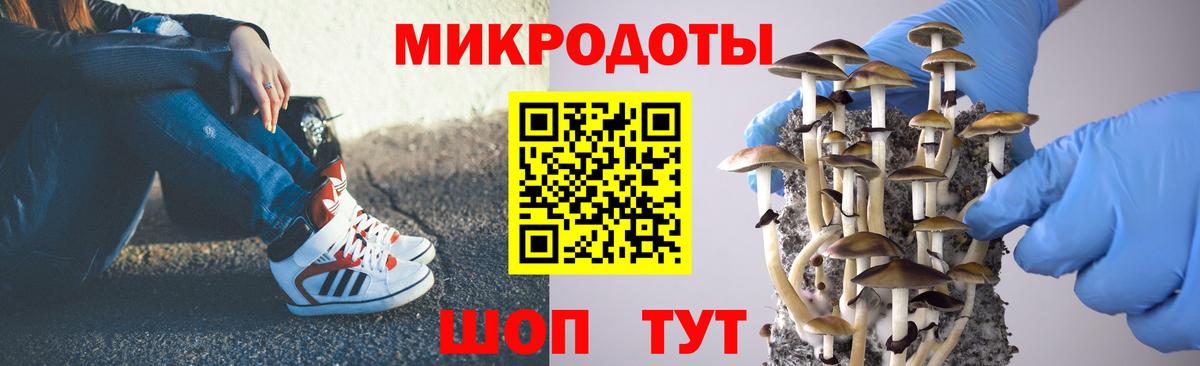 Псилоцибиновые грибы мицелий  Галлюциногенные грибы мухоморы  Гусев  Вход с VPN 