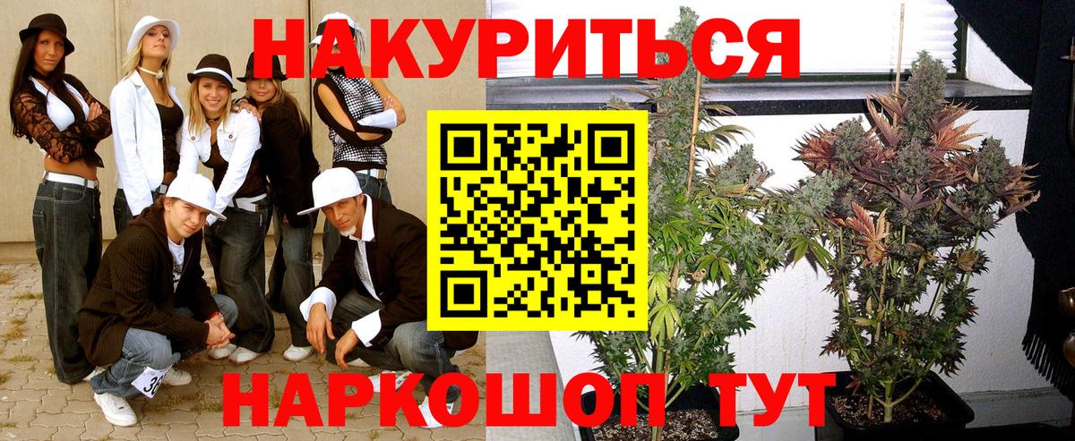 Бошки Шишки Ganja  Канабис SATIVA & INDICA  Вход с VPN  Каннабис тримм  Гусев 